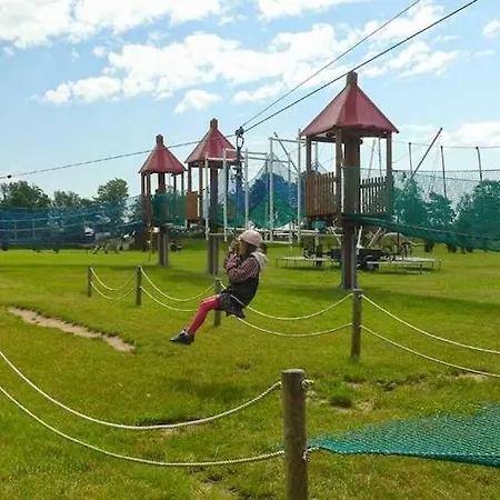 Near Baltic Sea دجيفنوفيك