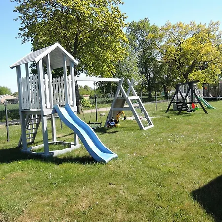 Near Baltic Sea دجيفنوفيك